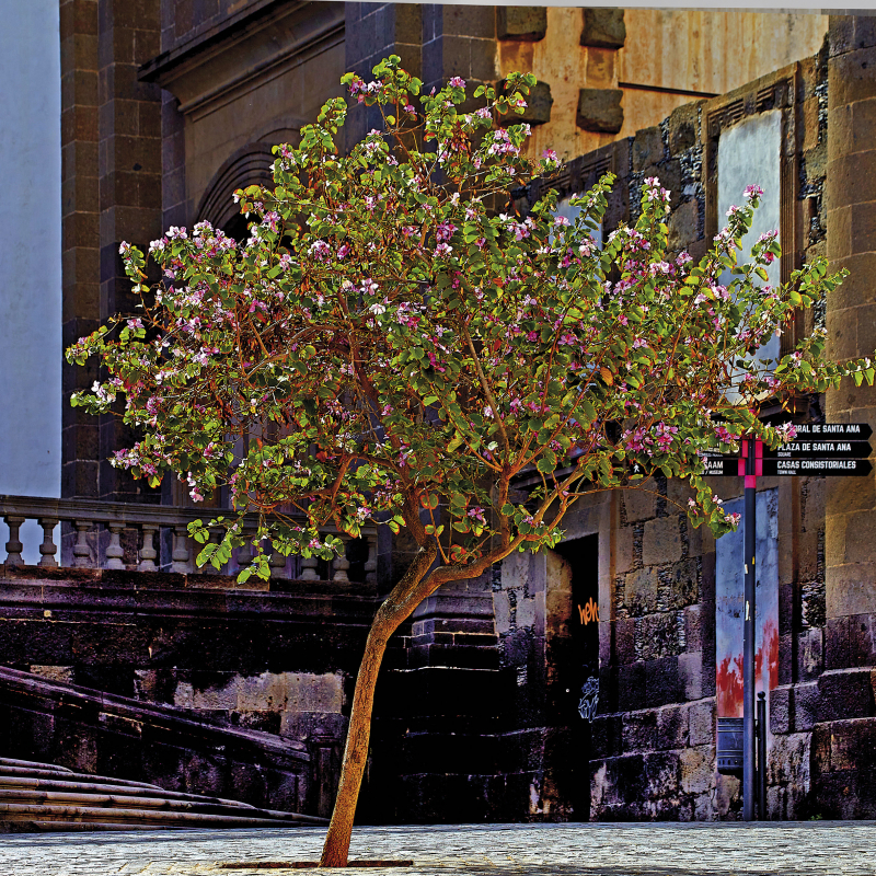 ONE DAY | LAS PALMAS No30 | Ralf Wehrle und Uwe Frank Fine - Art - Print  16,5 cm x 16,5 cm | gerahmt 30 x 30 cm  Auflage 15 | signiert